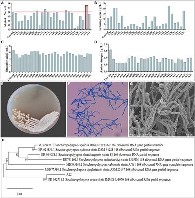 Complete Genome Sequence Of The Motile Actinomycete